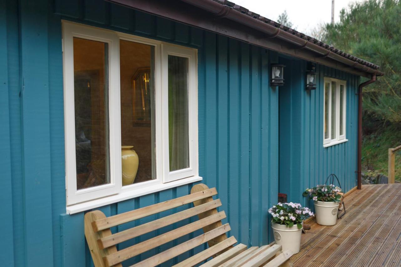 Upper Gelli Luxury Holiday Lodge, Converted Dairy & Cosy Shepherds Huts Welshpool Buitenkant foto