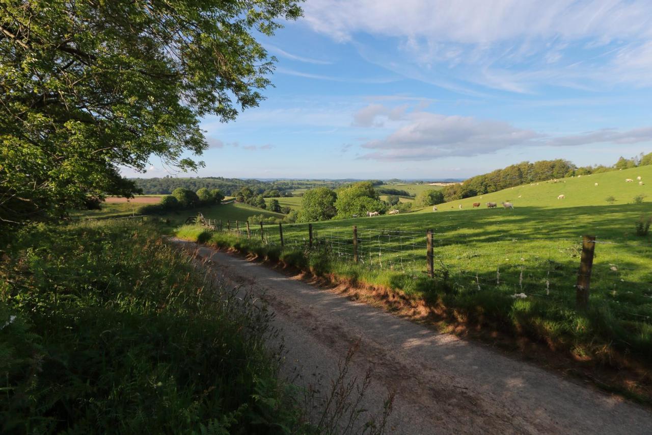 Upper Gelli Luxury Holiday Lodge, Converted Dairy & Cosy Shepherds Huts Welshpool Buitenkant foto